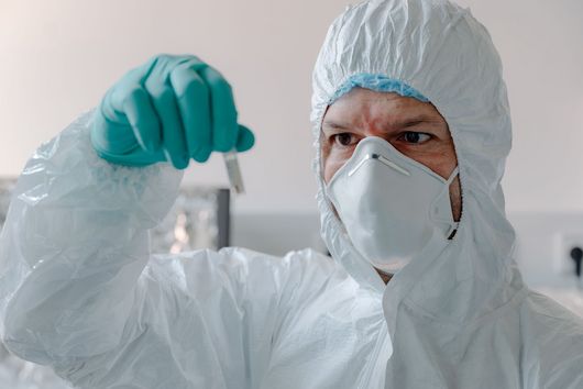 Sébastien Calvignac-Spencer in the lab.