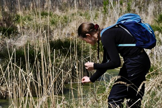 Eine Frau mit einem Rucksack bückt sich und entnimmt eine Probe aus einem Moor