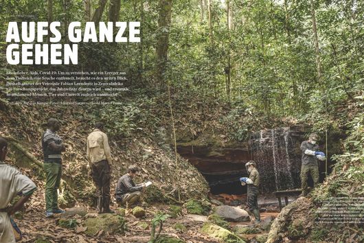 HIOH Gründungsdirektor Fabian Leendertz und seine Kollegin Livia Patrono befreien Fledermäuse aus Fangnetzen, um sie anschließend auf Pathogene zu untersuchen.