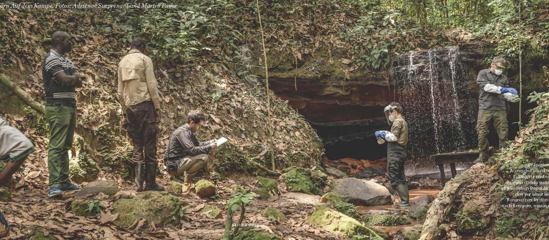 HIOH founding director Fabian Leendertz and his colleague Livia Patrono free bats from nets in order to examine them for pathogens.